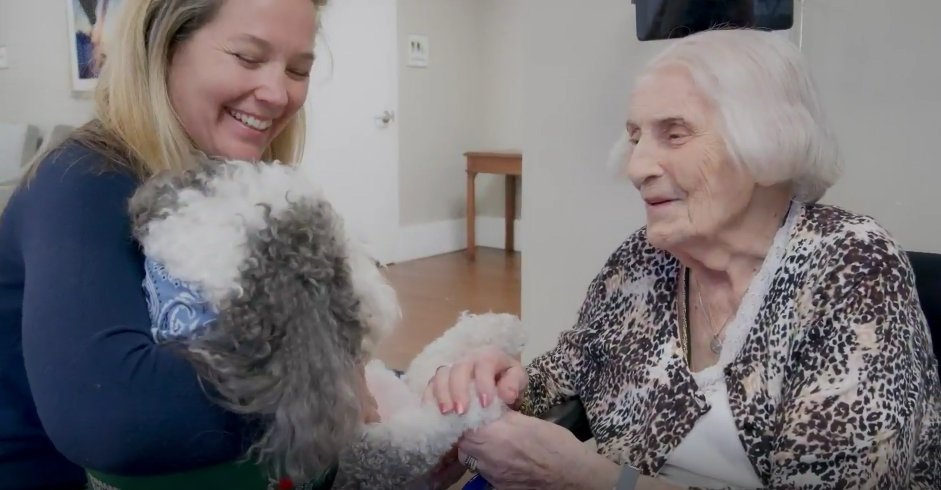 dvsb wish moved AL-1